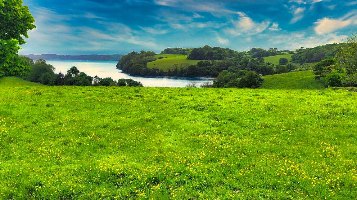 Cornwall Thrive Stories Support Tourism